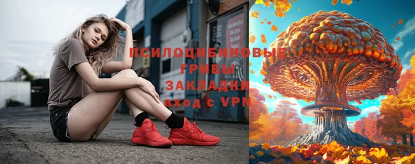 гашик Абаза
