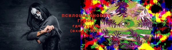 гашик Абаза