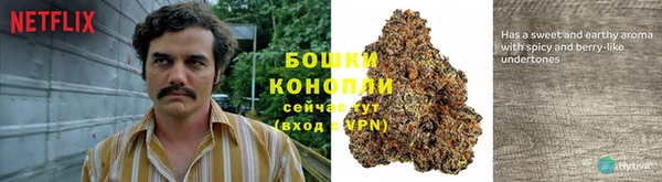 гашик Абаза