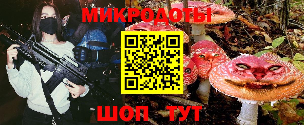 Сызрань  Галлюциногенные грибы Psilocybe  Вход с VPN 