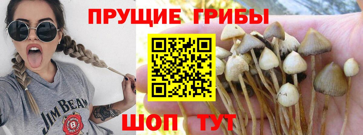 Псилоцибиновые грибы MAGIC MUSHROOMS Сызрань